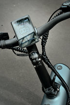 FliS F1 Electric Bike