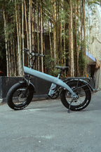 FliS F1 Electric Bike
