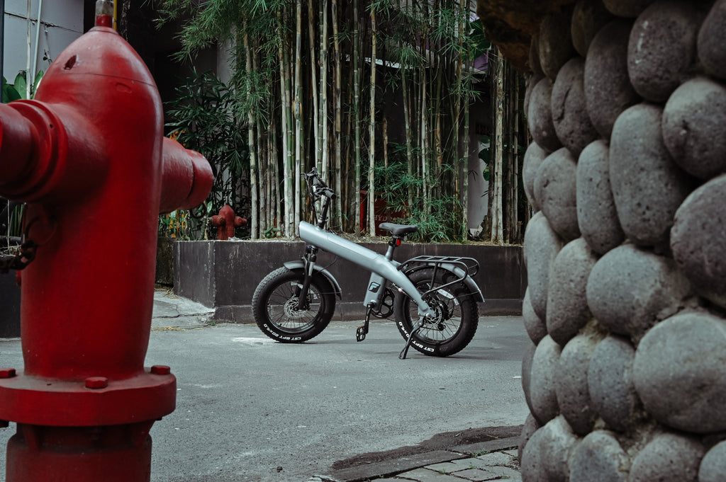 FliS F1 Electric Bike