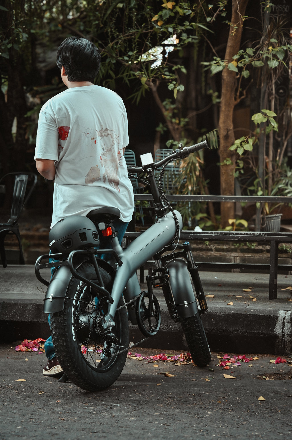 FliS F1 Electric Bike