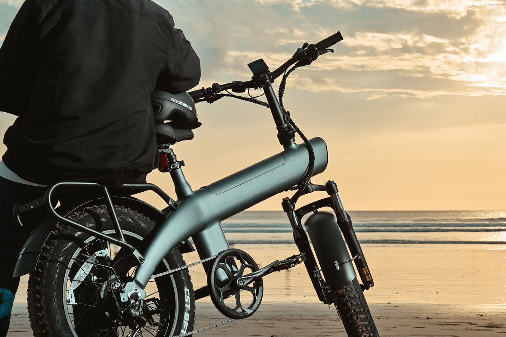 FliS F1 Electric Bike